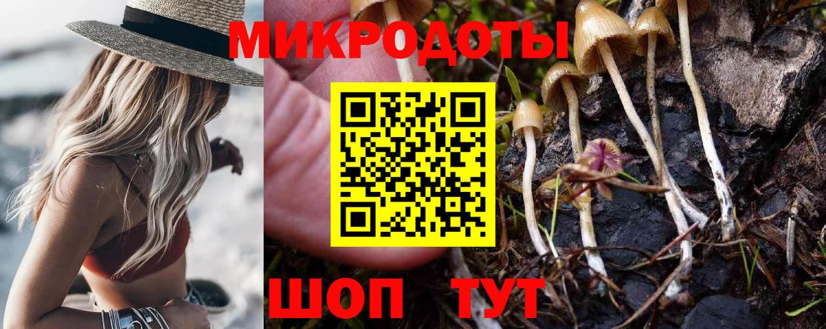 Верхняя Салда  Псилоцибиновые грибы ЛСД  Вход с VPN  Галлюциногенные грибы Psilocybe 