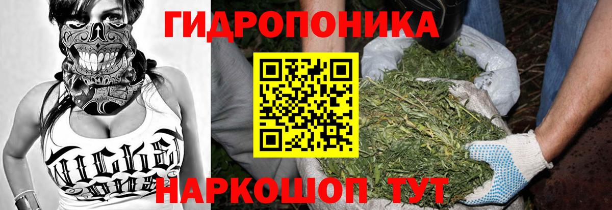 Бошки марихуана сатива Верхняя Салда